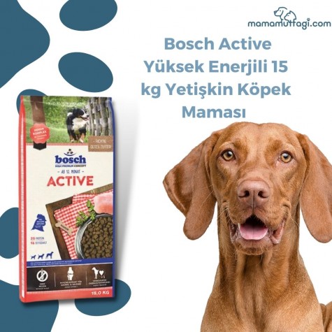  Bosch Active Yüksek Enerjili 15 kg Yetişkin Köpek Maması- İstanbul içi Sevkiyat Ürünü