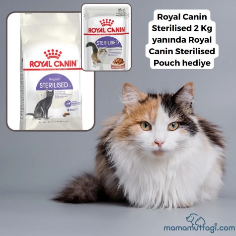 Royal Canin Sterilised Kedi maması 2 Kg-Royal Canin Sterilised Pouch hediye\ İstanbul içi özel sevkiyat