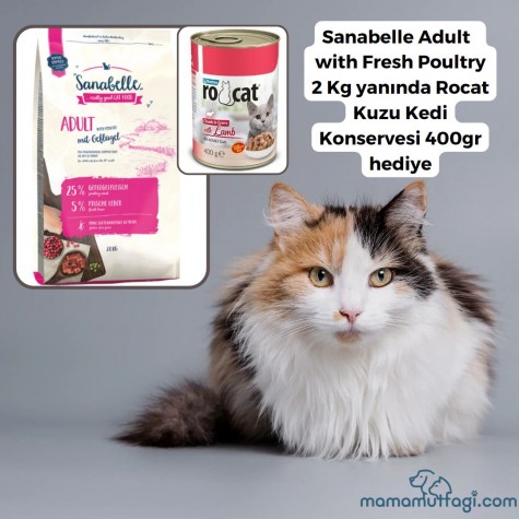 Sanabelle Adult  with Fresh Poultry Kedi maması 2 Kg-Rocat Kuzu Kedi Konservesi 400gr hediye\ İstanbul İçi Özel Sevkiyat