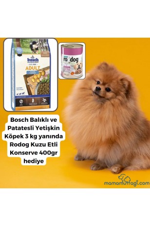 Bosch Balıklı ve Patatesli Yetişkin Köpek Maması 3 kg-Rodog Kuzu Etli Konserve 400gr hediye\ İstanbul içi Özel Sevkiyat