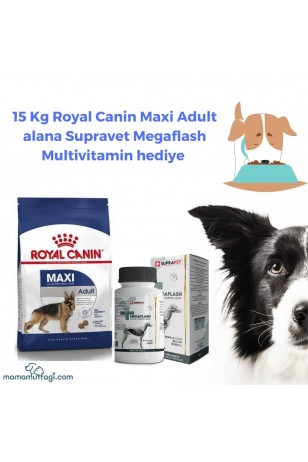 Royal Canin Shn Maxi Adult Büyük Irk Yetişkin Köpek Maması 15 Kg- Multivitamin Hediyeli!