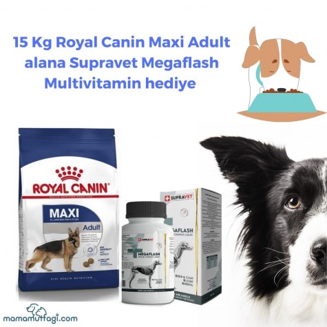 Royal Canin Shn Maxi Adult Büyük Irk Yetişkin Köpek Maması 15 Kg- Multivitamin Hediyeli!