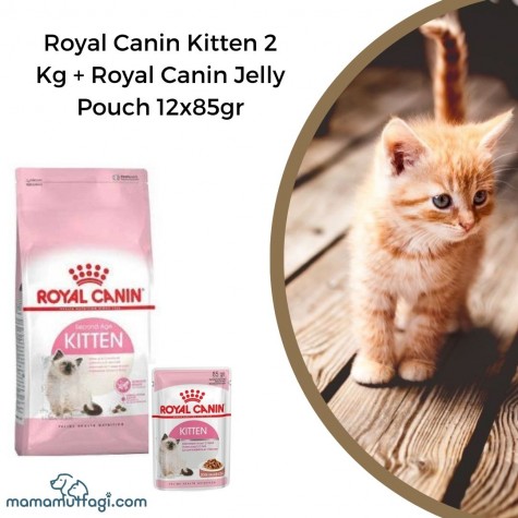 Royal Canin Kitten 2 Kg-Royal Canin Jelly Pouch 12x85gr\ İstanbul Sevkiyat Ürünü