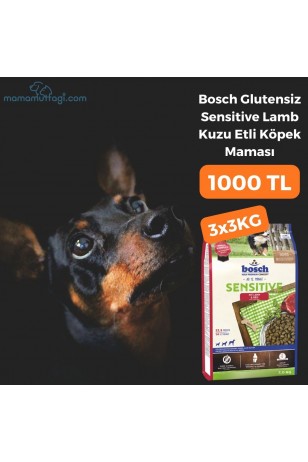 Bosch Glutensiz Sensitive Lamb Kuzu Etli Köpek Maması 3x3 KG- İstanbul İçi Özel Sevkiyat