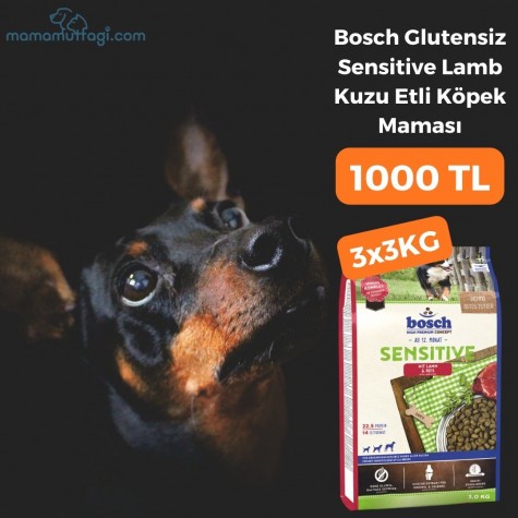 Bosch Glutensiz Sensitive Lamb Kuzu Etli Köpek Maması 3x3 KG- İstanbul İçi Özel Sevkiyat