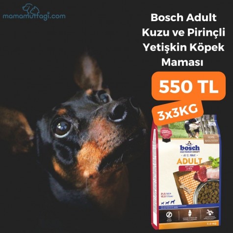 Bosch Adult Kuzu ve Pirinçli Yetişkin Köpek Maması 3x3KG- İstanbul İçi Özel Sevkiyat