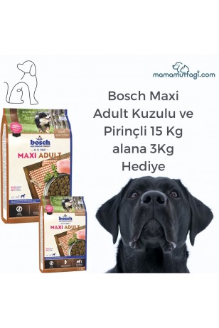 Bosch Maxi Adult Kuzulu ve Pirinçli Yetişkin Köpek Maması 15 Kg-3 Kg Hediye\ İstanbul içi Özel Sevkiyat