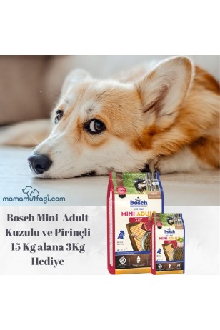 Bosch Mini Adult Kuzulu ve Pirinçli Yetişkin Köpek Maması 15 Kg- 3 Kg Hediyeli