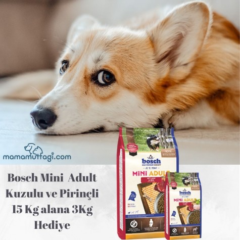 Bosch Mini Adult Kuzulu ve Pirinçli Yetişkin Köpek Maması 15 Kg- 3 Kg Hediye \ İstanbul içi Özel Sevkiyat