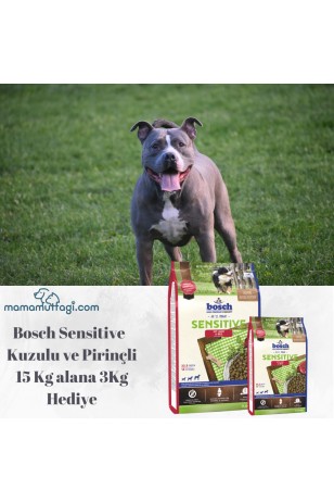 Bosch Sensitive Kuzulu ve Pirinçli Yetişkin Köpek Maması 15 Kg- 3 Kg Hediyeli