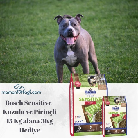 Bosch Sensitive Kuzulu ve Pirinçli Yetişkin Köpek Maması 15 Kg- 3 Kg Hediyeli