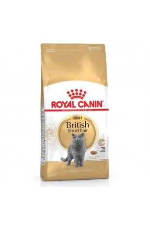 Royal Canin British Shorthair Yetişkin Kedi Maması 2 Kg 