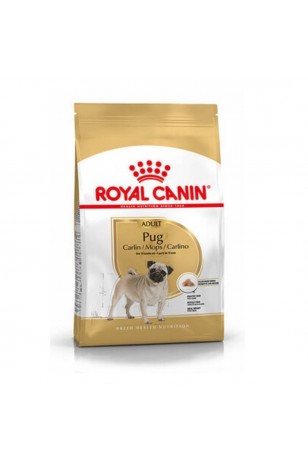 Royal Canin Pug Adult Yetişkin Köpek Maması 1.5 kg