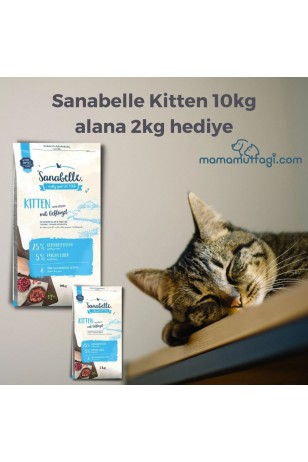 Sanabelle Kitten Yavru Kedi Maması 10 Kg- 2 Kg Hediye\ İstanbul içi Özel Sevkiyat