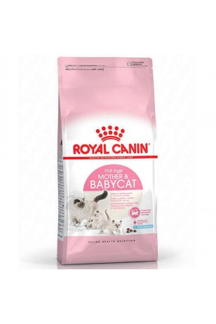 Royal Canin Babycat Yavru Kedi Maması 4 Kg